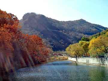 新澳天天开奖资料大全旅游团，生日蛋糕盒生产厂家